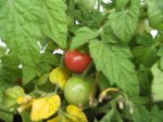 BILD0433.JPG