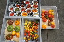 IMG_5884.jpg