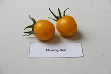 IMG_5895.jpg
