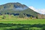 IMG_0734 - Copy.JPG