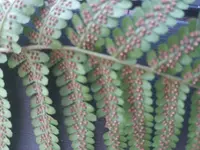 20180731_113726.webp