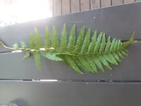 20180731_113657.jpg
