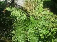 20180731_113618.jpg