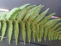 20180731_113719.jpg