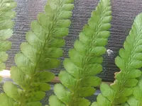 20180731_113711.webp