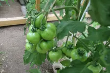 IMG_5632.jpg