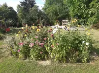 20180731_172715.webp