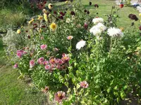 20180731_172725.webp
