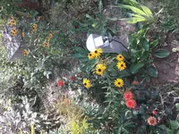 20180731_172737.webp