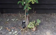 20180731_194647.webp