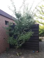 20180731_194712.jpg