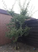 20180731_194728.webp