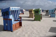 IMGP1649.webp