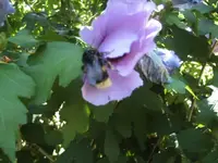 BILD0439.webp