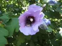 BILD0437.webp