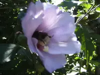 BILD0440.webp