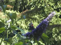 BILD0449.webp