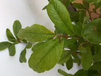 20180729_194818.webp