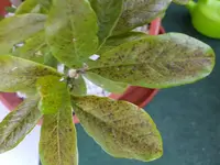 20180729_194811.webp