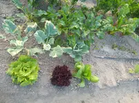 IMG_20180801_192414.webp