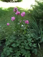 BILD0365.webp