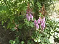 BILD0410.webp