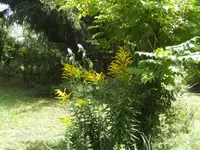BILD0419.webp