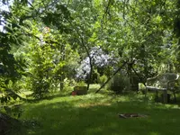 BILD0417.webp