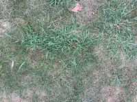 IMG_0004.webp