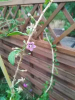 IMG_20180802_202223.webp