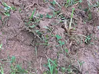 IMG_0812 - Copy.webp