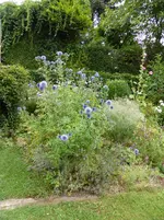 P1100569Beetkannte.webp