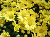c048.webp