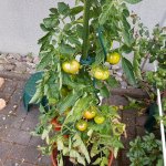 20180803_135351.jpg