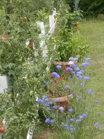 P8020679.webp