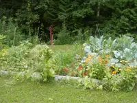 P8020683.webp