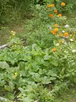 P8020688.webp