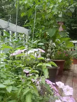 P8020695.webp