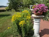 DSC03565.webp