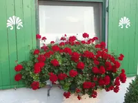 DSC03556.webp