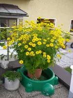 04_08_2018 (16).webp