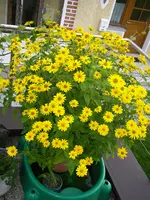 04_08_2018 (17).webp