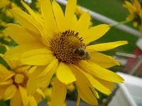 04_08_2018 (19).webp
