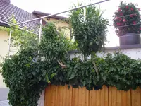 04_08_2018 (6).webp