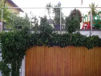 04_08_2018 (7).webp