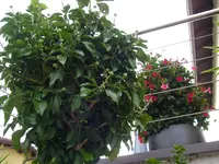 04_08_2018 (9).webp