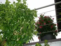 04_08_2018 (11).webp