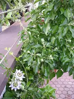 04_08_2018_2 (3).webp