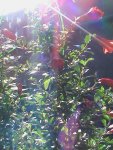 DSC02614.JPG