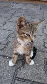 20180704_190542.webp